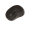 Souris sans fil noir 1000 Dpi - Mini dongle USB - WAYTEX
